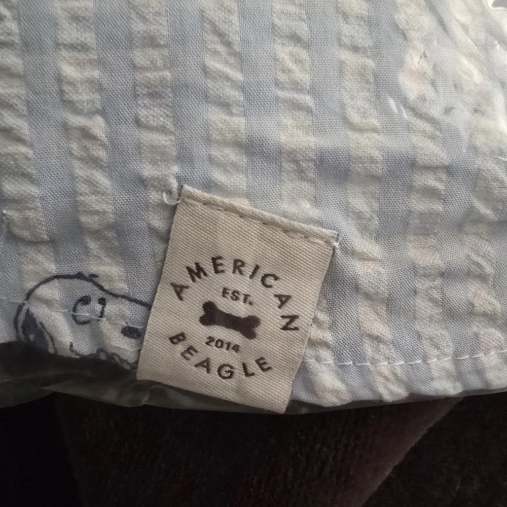 American Eagle/Beagle Outfitters, Light Blue Snoopy Dog Shirt - Picture 2 of 5
